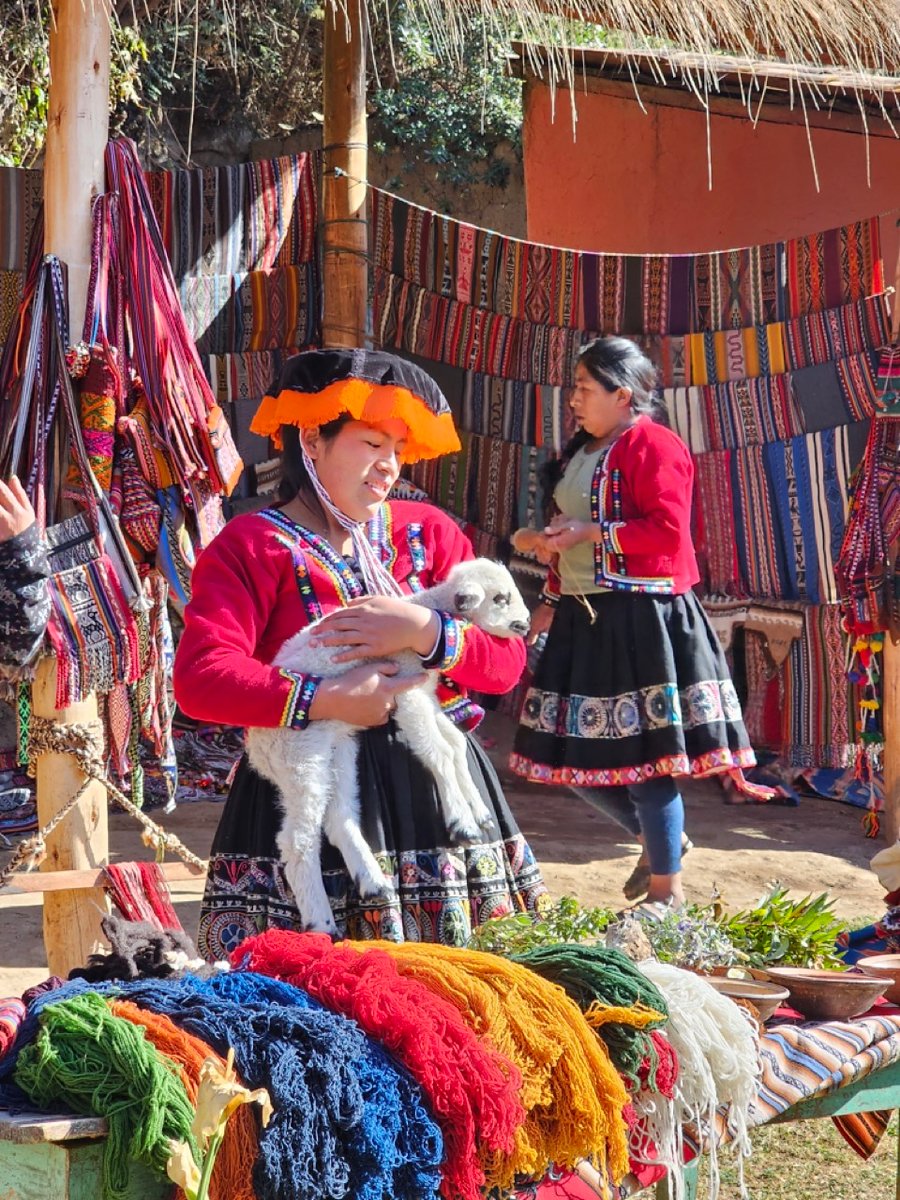 Local Peruvian woman holding an animal in front of market.