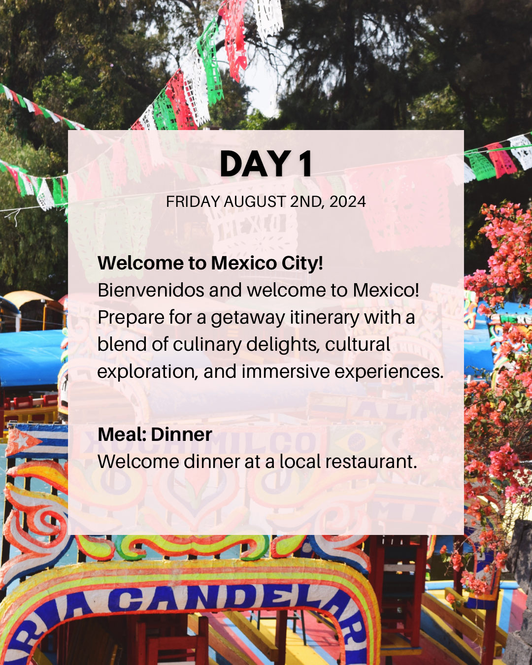 Ali Jackson TrovaTrip Mini Trip Mexico Promotion Example