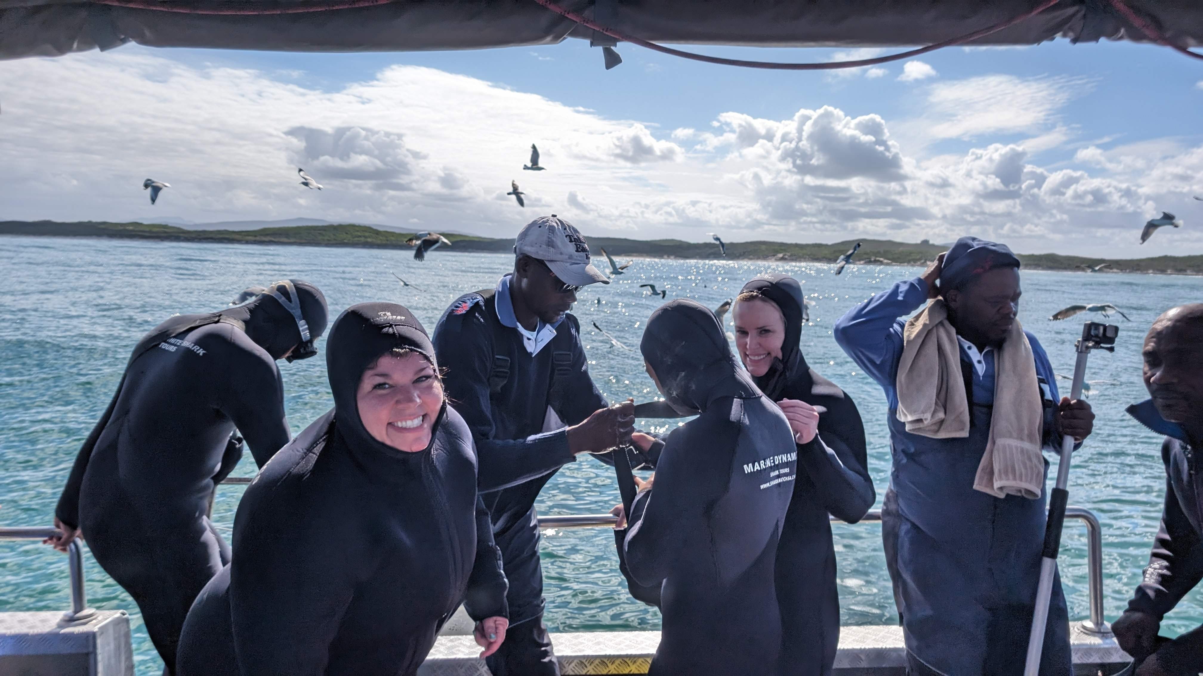 People cage diving with great white sharks in South Africa.